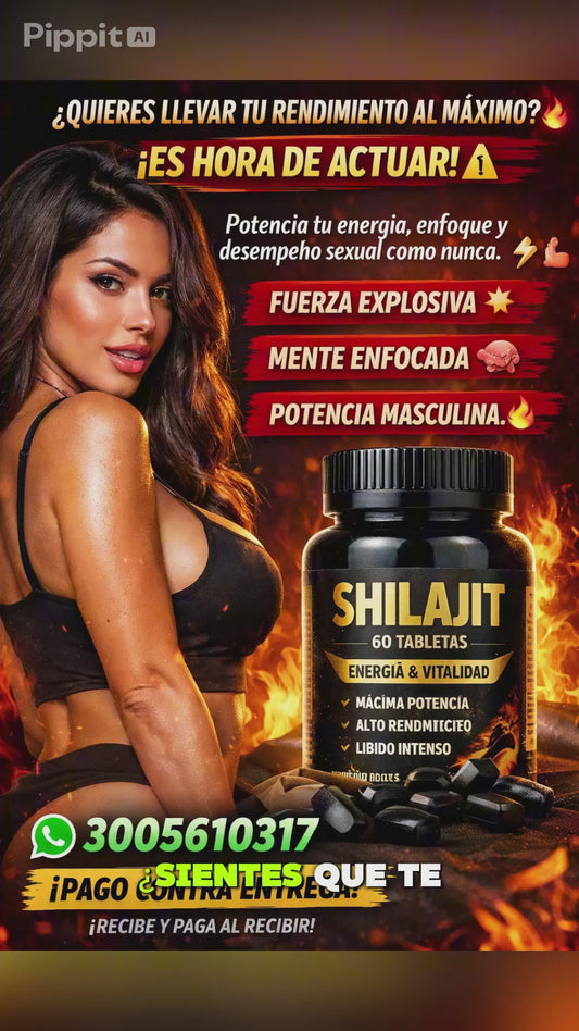 SHILAJIT X60 (tabletas)